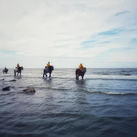 By The In Belgium Oostduinkerke