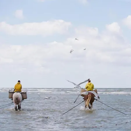 By The In Belgium Lejlighed